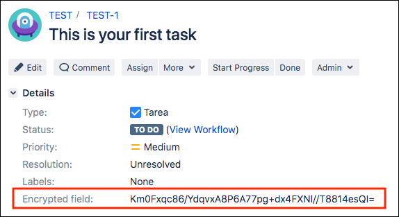 An example Jira issue, with the associated Encrypted field highlighted.