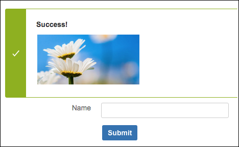 success message submitting appears form after